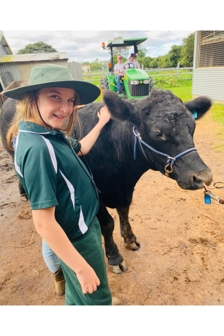 Year six student patting a cow